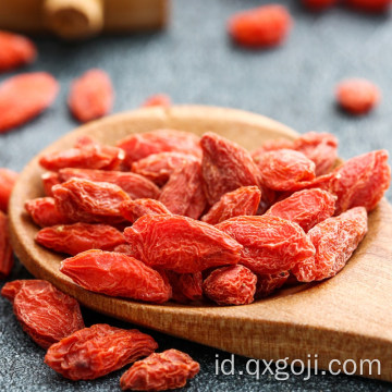 AD mengeringkan buah goji berry merah wolfberries